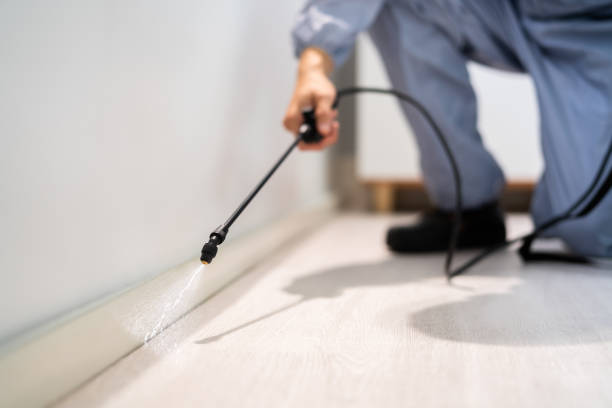 Professional exterminator conducting IPM assessment in Old Brookville